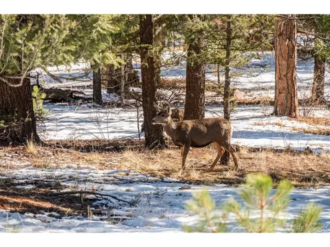 35441 Upper Aspen Ln, Pine, CO 80470 photo 21
