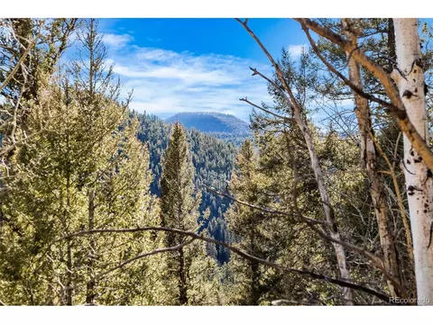 35441 Upper Aspen Ln, Pine, CO 80470 photo 14