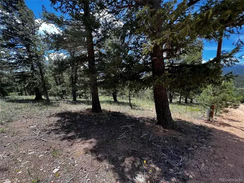 76 Baker Rd, Bailey, CO 80421 photo 7