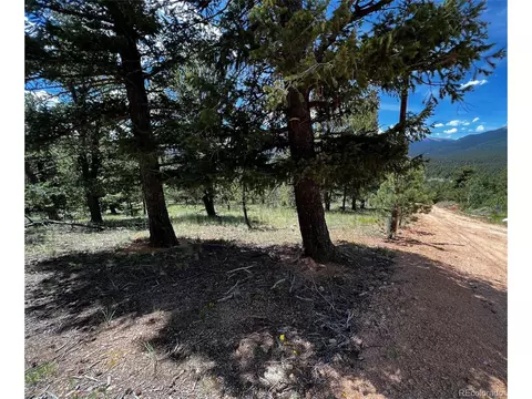 76 Baker Rd, Bailey, CO 80421 photo 6