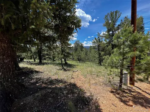 76 Baker Rd, Bailey, CO 80421 photo 5