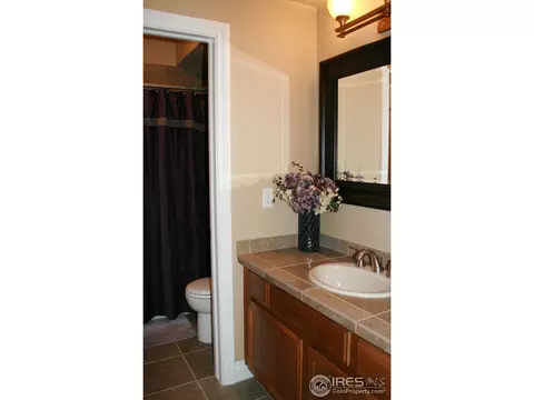 7029 Aladar Dr, Windsor, CO 80550 photo 23