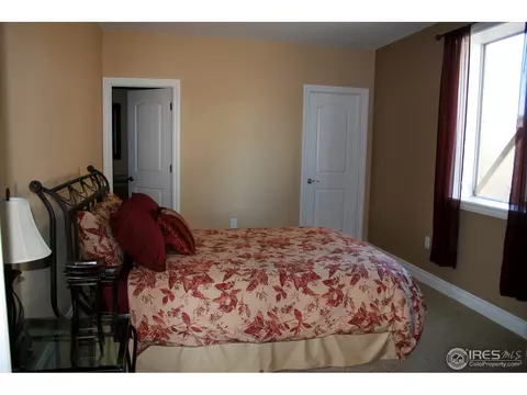 7029 Aladar Dr, Windsor, CO 80550 photo 22