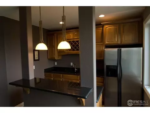 7029 Aladar Dr, Windsor, CO 80550 photo 16