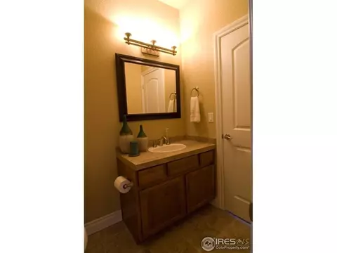 7029 Aladar Dr, Windsor, CO 80550 photo 24