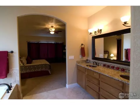 7029 Aladar Dr, Windsor, CO 80550 photo 12
