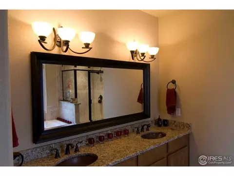 7029 Aladar Dr, Windsor, CO 80550 photo 13