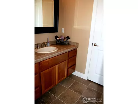 7029 Aladar Dr, Windsor, CO 80550 photo 21