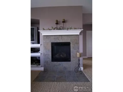 7029 Aladar Dr, Windsor, CO 80550 photo 17