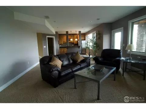 7029 Aladar Dr, Windsor, CO 80550 photo 18