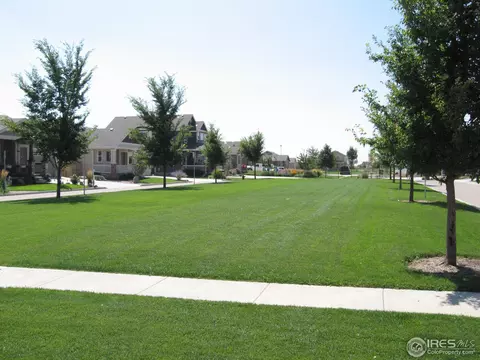 840 Mount Massive St, Berthoud, CO 80513 photo 4