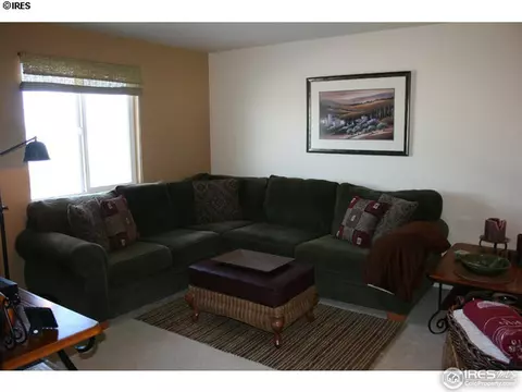 7990 Liley Ave, Frederick, CO 80530 photo 8