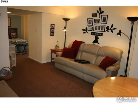 7990 Liley Ave, Frederick, CO 80530 photo 18