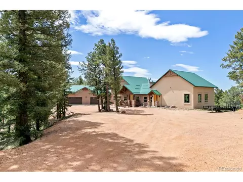 Exterior - 252 Running Elk Pt, Divide, CO 80814 photo 12 of 12