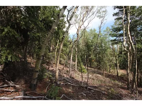 6753 Ackerman Rd, San Luis, CO 81152 photo 6