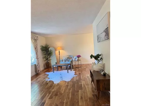 Living - 16179 E Flora Pl, Aurora, CO 80013 photo 2 of 5