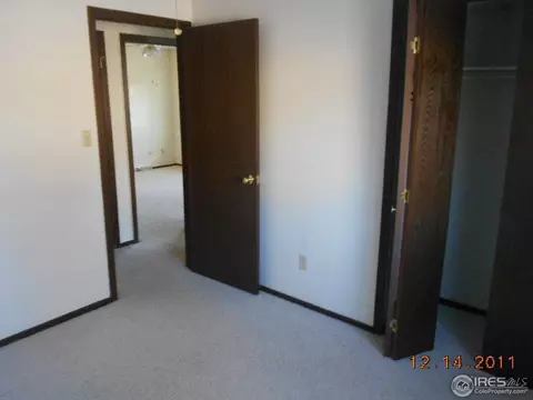 1108 Walnut St, Windsor, CO 80550 photo 6