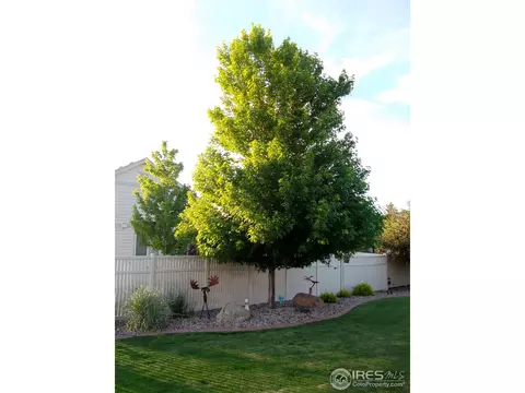 4927 Shenandoah Ave, Firestone, CO 80504 photo 22