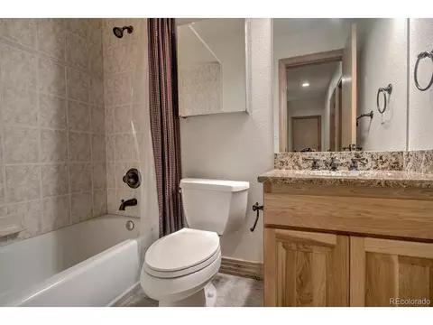 Bath - 1817 Stellar Dr, Silverthorne, CO 80498 photo 11 of 11