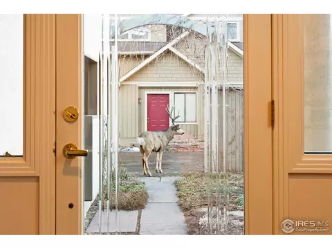 2434 Mapleton Ave, Boulder, CO 80304 photo 12