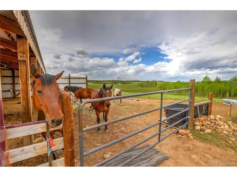 899 County Road 18, Fairplay, CO 80440 photo 23