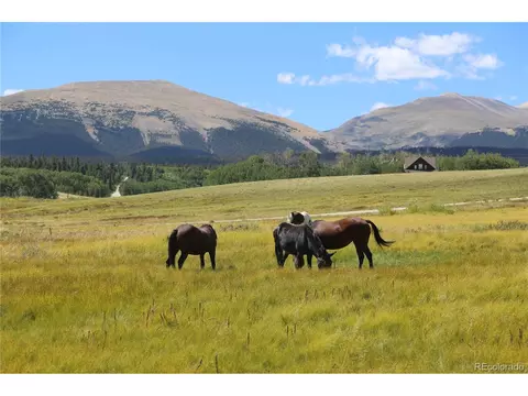 899 County Road 18, Fairplay, CO 80440 photo 33