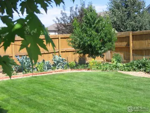 7150 High St, Frederick, CO 80504 photo 3