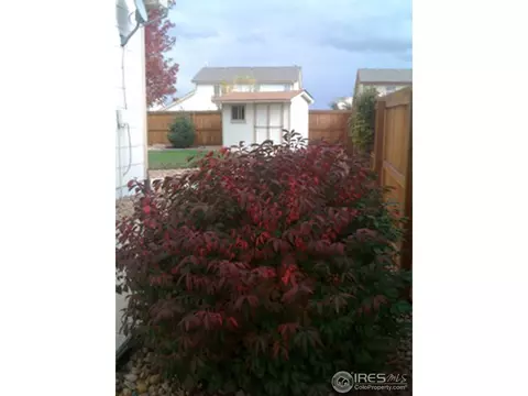 7150 High St, Frederick, CO 80504 photo 4