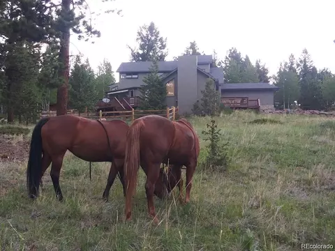 90 Allen Cir, Pine, CO 80470 photo 38