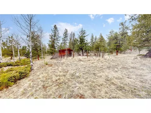 90 Allen Cir, Pine, CO 80470 photo 33