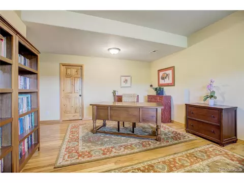 9169 Fallen Rock Rd, Conifer, CO 80433 photo 21