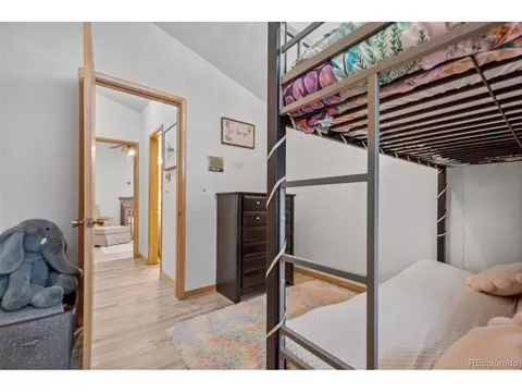 69 E 81st Pl, Denver, CO 80221 photo 15
