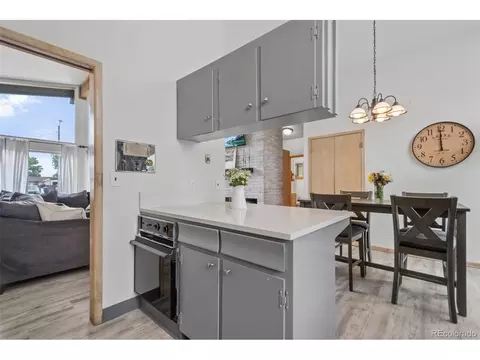 69 E 81st Pl, Denver, CO 80221 photo 12