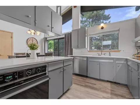 69 E 81st Pl, Denver, CO 80221 photo 13