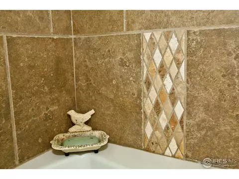5966 Thistle Ridge Ave, Firestone, CO 80504 photo 18