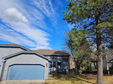 95 Meile Ln, Edwards, CO 81632