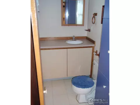120 Sunflower Dr, Windsor, CO 80550 photo 6