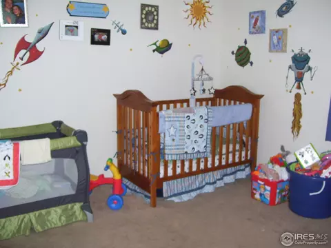 902 Canyon Ct, Windsor, CO 80550 photo 9