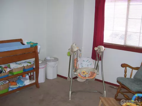 902 Canyon Ct, Windsor, CO 80550 photo 10