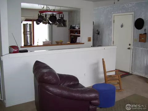 902 Canyon Ct, Windsor, CO 80550 photo 4