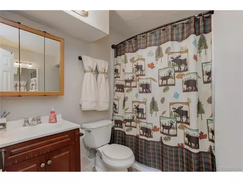 213 Wooster Ave, Firestone, CO 80520 photo 27