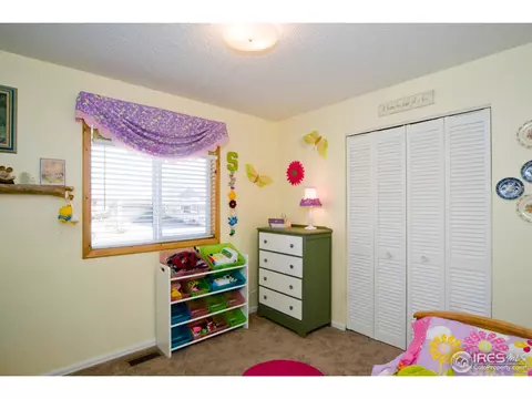 3248 E 118th Way, Thornton, CO 80233 photo 14
