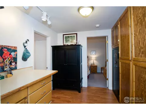 3248 E 118th Way, Thornton, CO 80233 photo 12