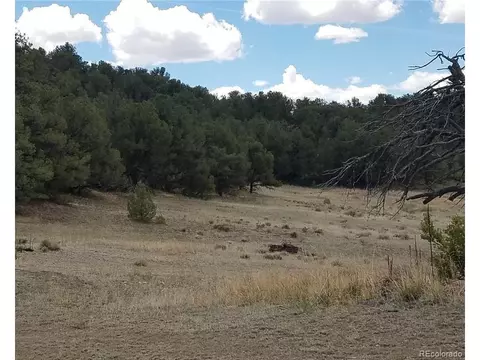 Undisclosed, Cotopaxi, CO 81223 photo 2