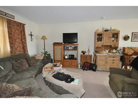 9 Daisy Ct, Windsor, CO 80550 photo 3