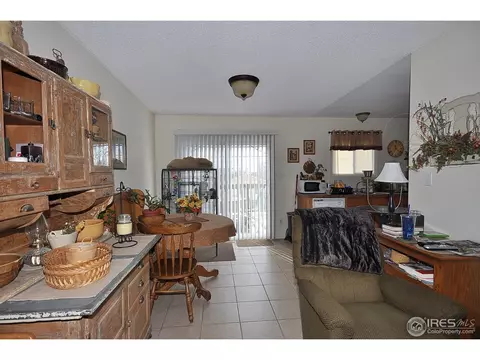 9 Daisy Ct, Windsor, CO 80550 photo 4