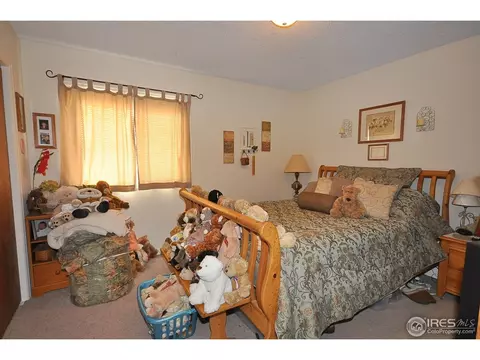 9 Daisy Ct, Windsor, CO 80550 photo 6