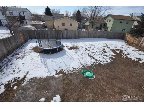 9 Daisy Ct, Windsor, CO 80550 photo 9