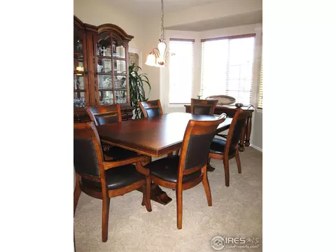 587 Edenbridge Dr, Windsor, CO 80550 photo 5