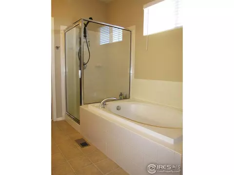587 Edenbridge Dr, Windsor, CO 80550 photo 8